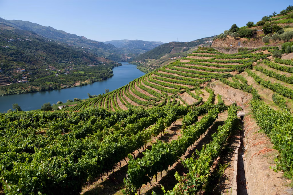 douro valley wine area